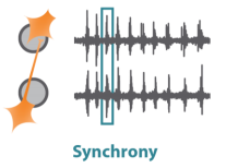 Synchrony