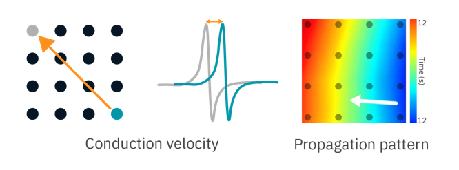 Assessing conduction velocity and propagation patterns