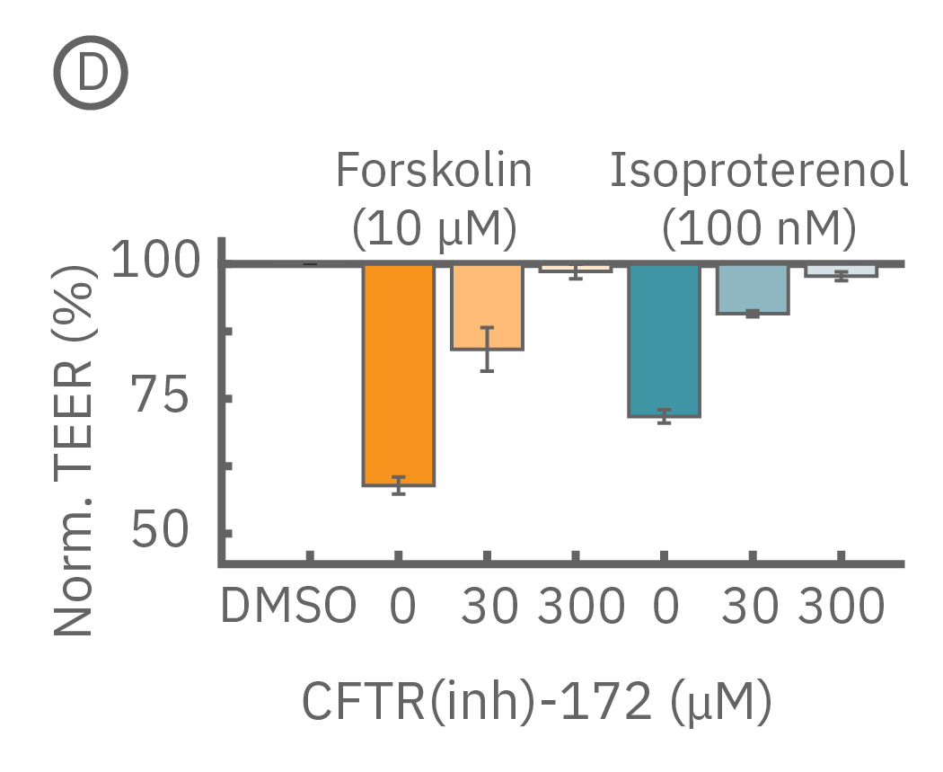 Measurements confirming CFTR as the mechanism for action for the change in TEER