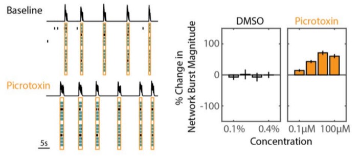 baseline graph image