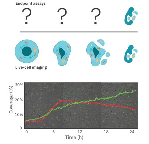 Biologically relevant results