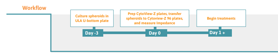 Cancer Spheroids workflow