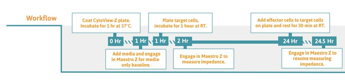 Cell Culture Protocol, Immuno-oncology Workflow