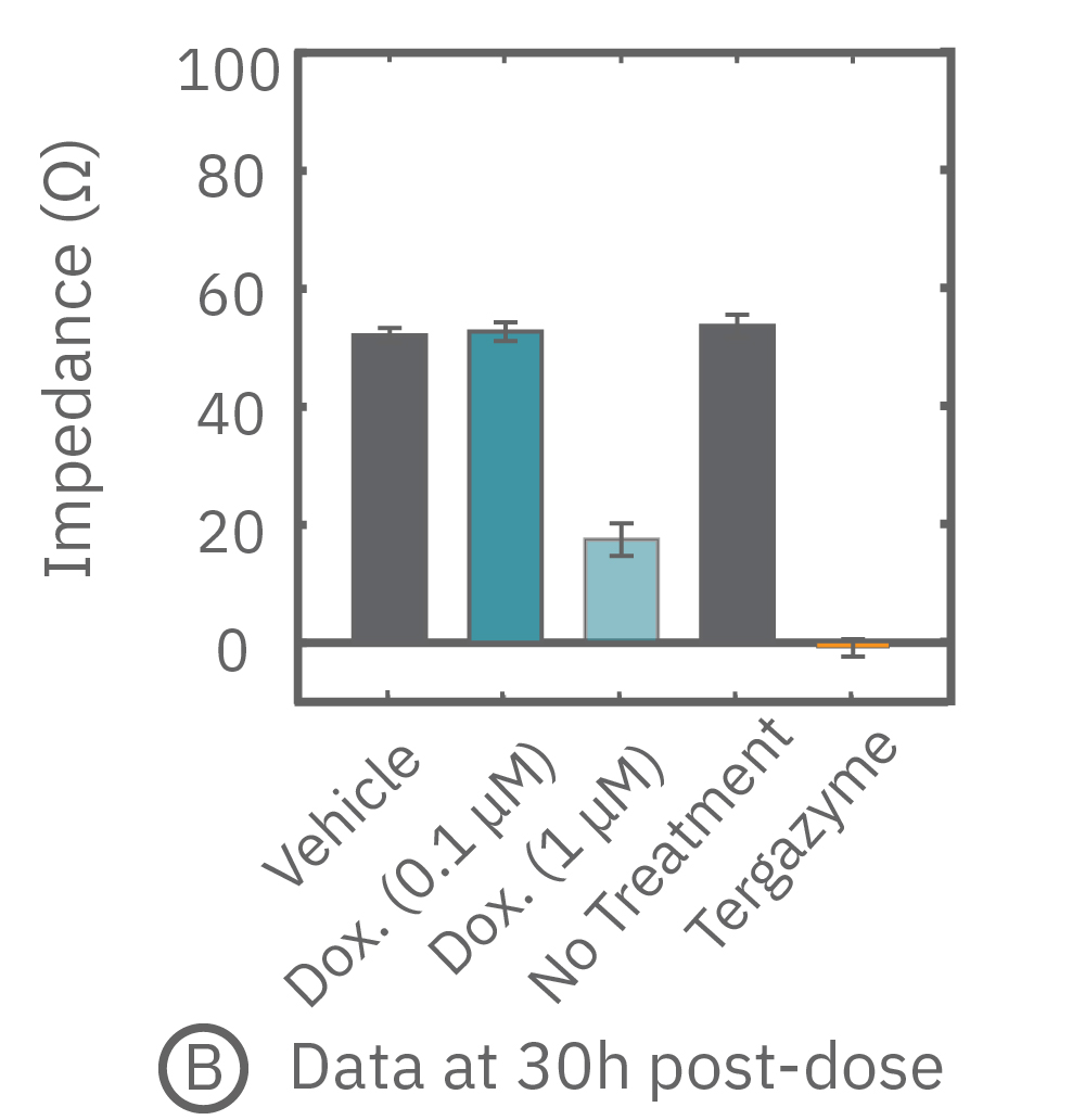 Kill 50 time response to cytotoxic drug dosing and cell viability