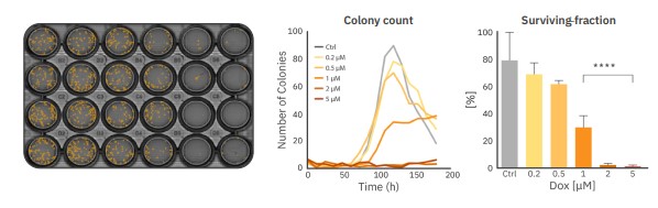 Fast, accurate colony counts