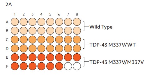 Figure 2A