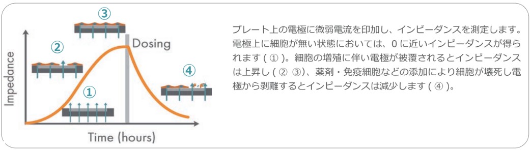 Maestro impedance time graph