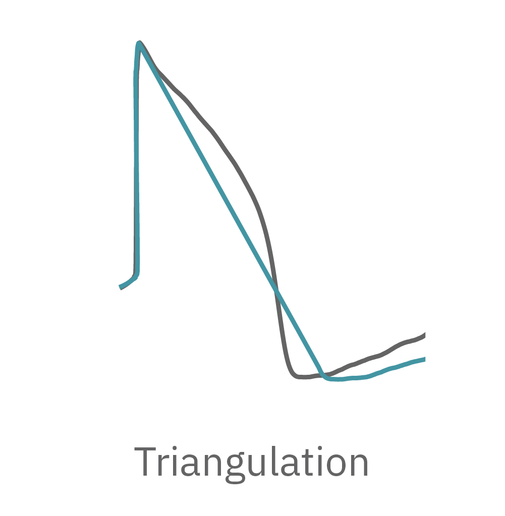 Triangulation