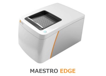 maestro edge