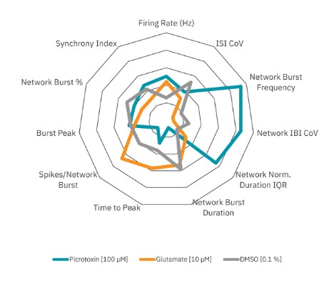 Neural Firing Patterns