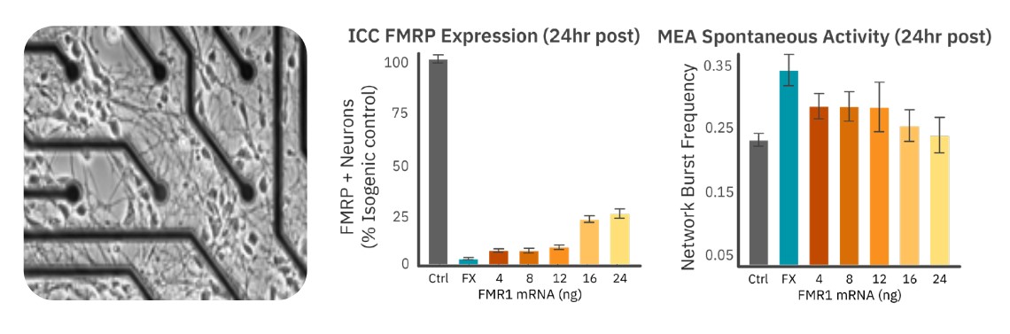 Translate expression data to function