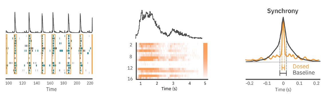 Neural Metric Tool