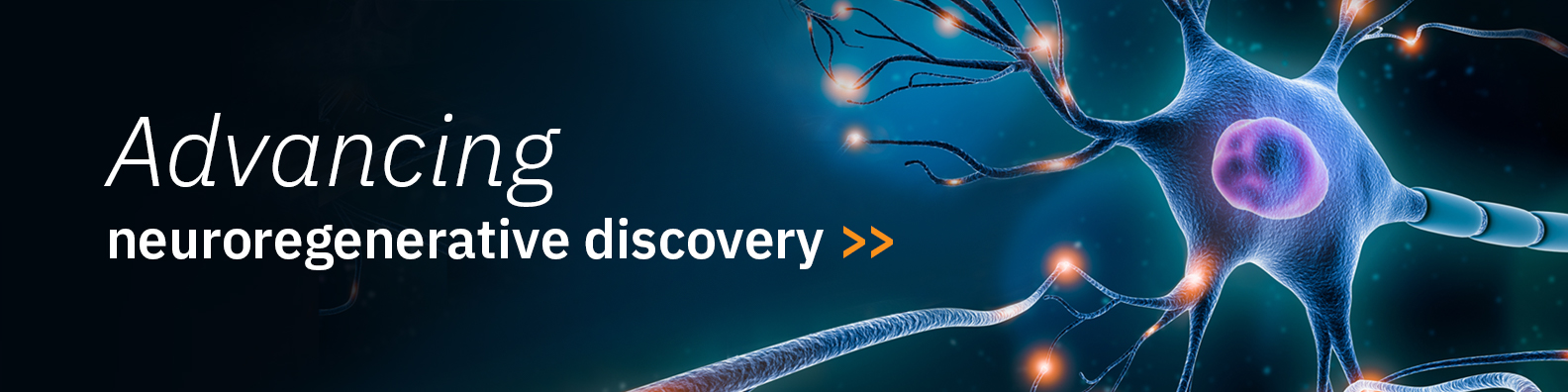 NeuroRegenerative Medicine Assays