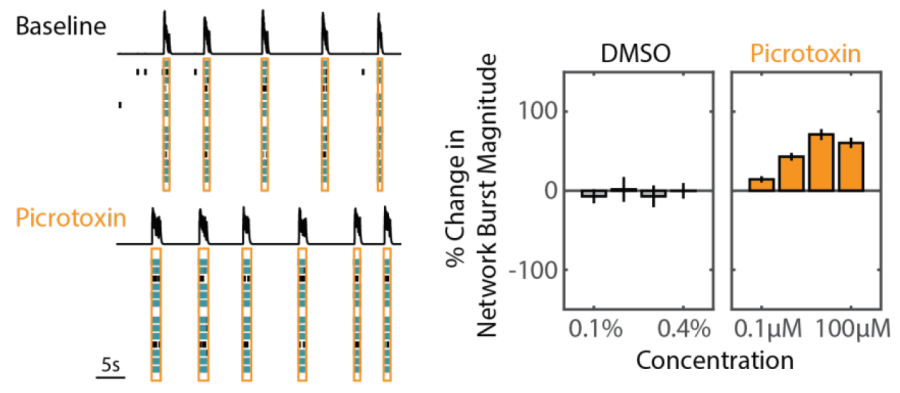 Clearly determine proconvulsant activity in neurons