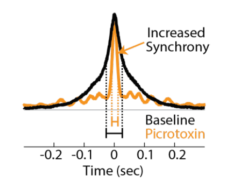 Quantify synchronicity of network bursting