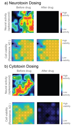 Neurotoxic compounds compared with neural activity and viability for cytotoxicity and neurotoxicity