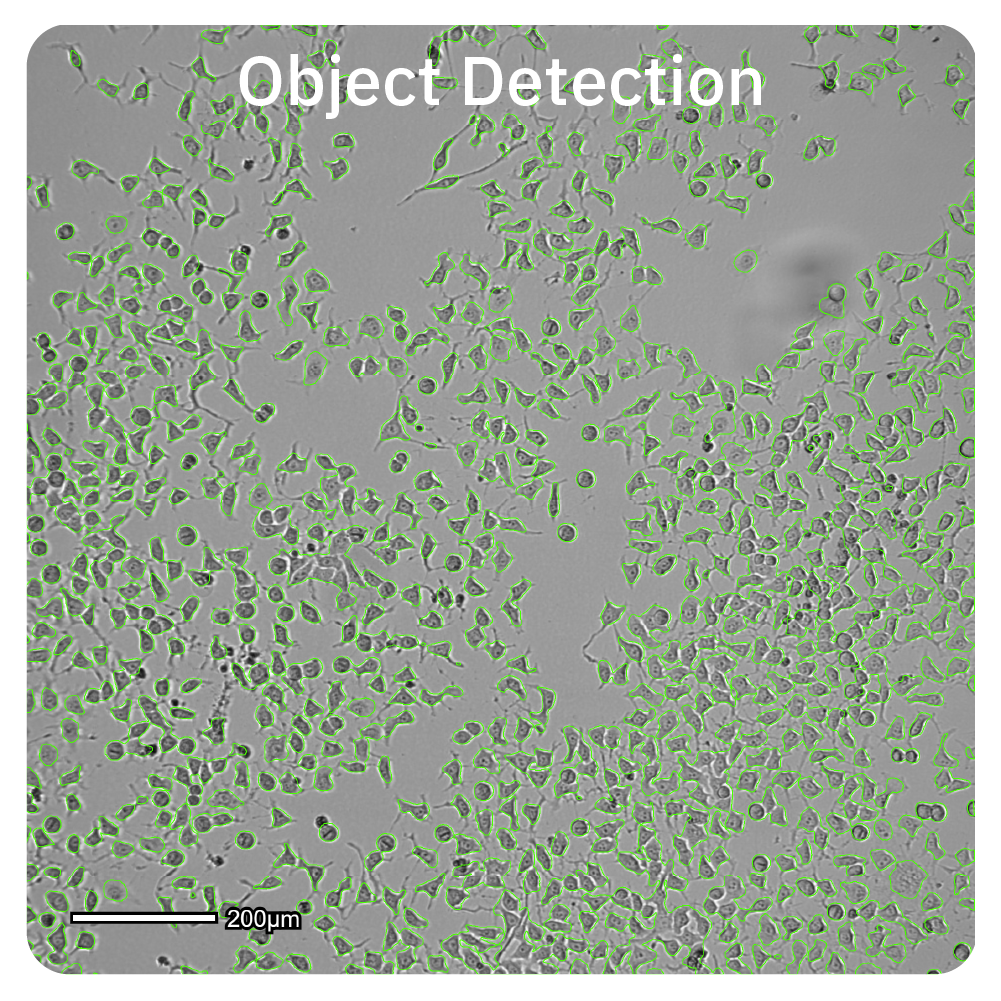 Object Detection