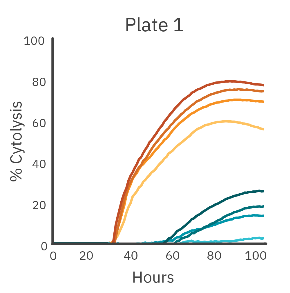 Cell Killing (Cytolysis) - Plate 1