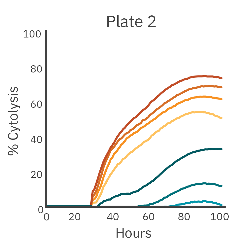 Cell Killing (Cytolysis) - Plate 2