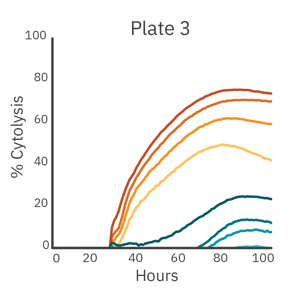 Cell Killing (Cytolysis) - Plate 3