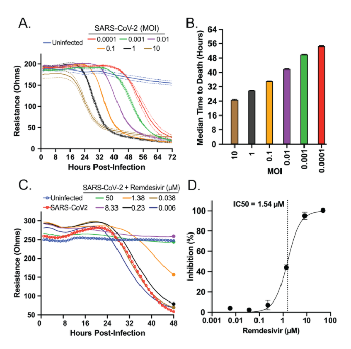 SARS-CoV-2 treatment