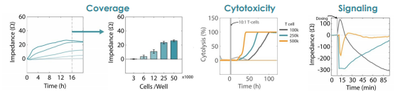 Cytotoxicity cell signaling and cell coverage for impedance based assay