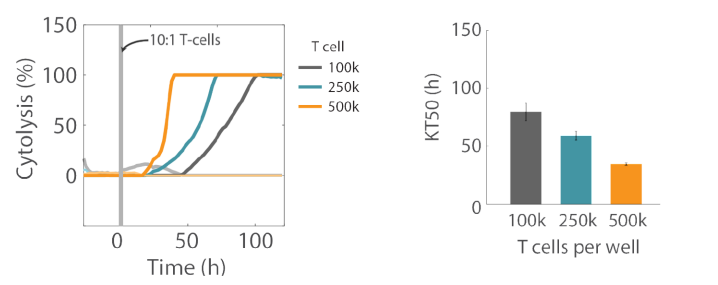 Cytolysis tracking in impedance based cellular assay