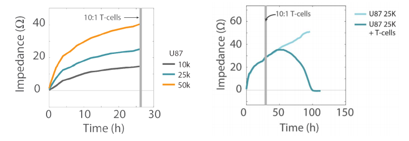 Cytotoxicity tracking in an impedance cellular assay