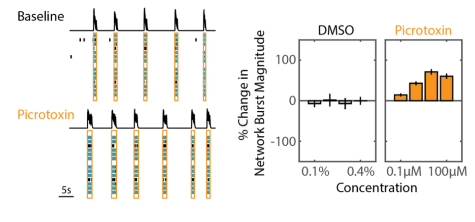 Comparison of network bursts under different drug conditions.