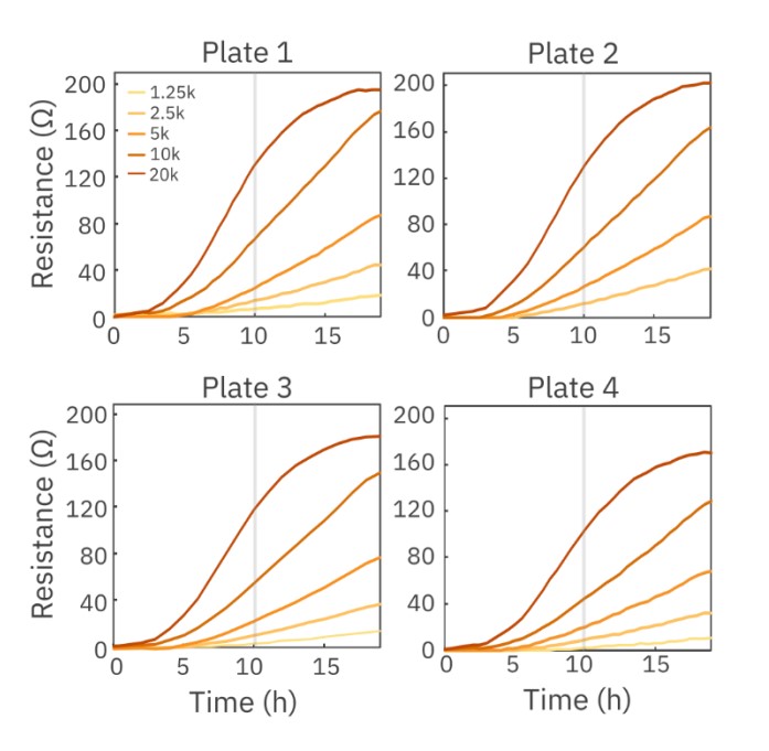 Cytotoxicity Assay