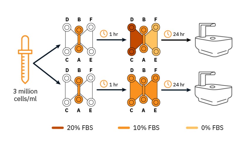 Experimental setup