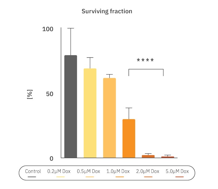 Dox affect on CHO-K1 colony formation Bar Graph