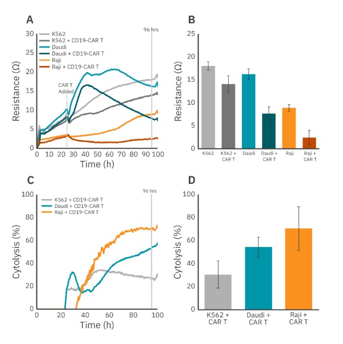 CAR T killing of liquid tumor cell lines K562, Daudi, and Raji.