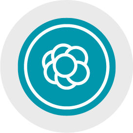 Organoid Analysis Module