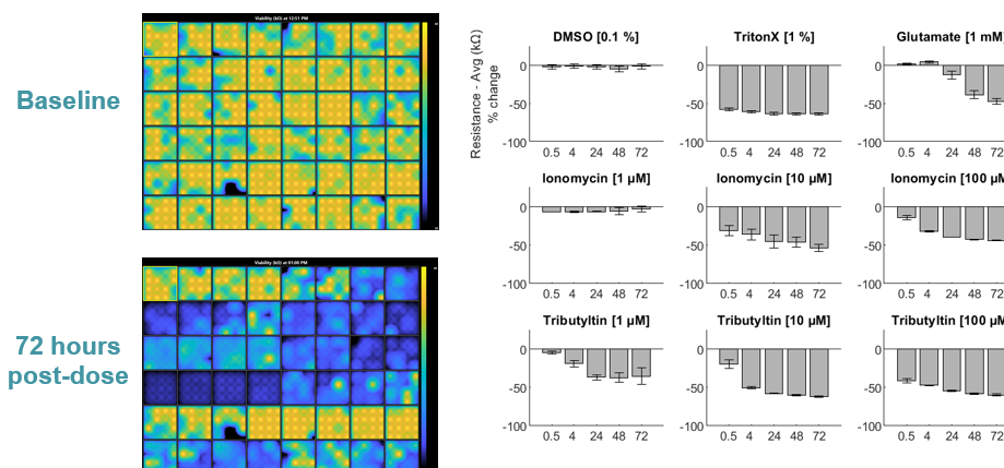 Neuronal activity with dose dependent cytotoxic drugs