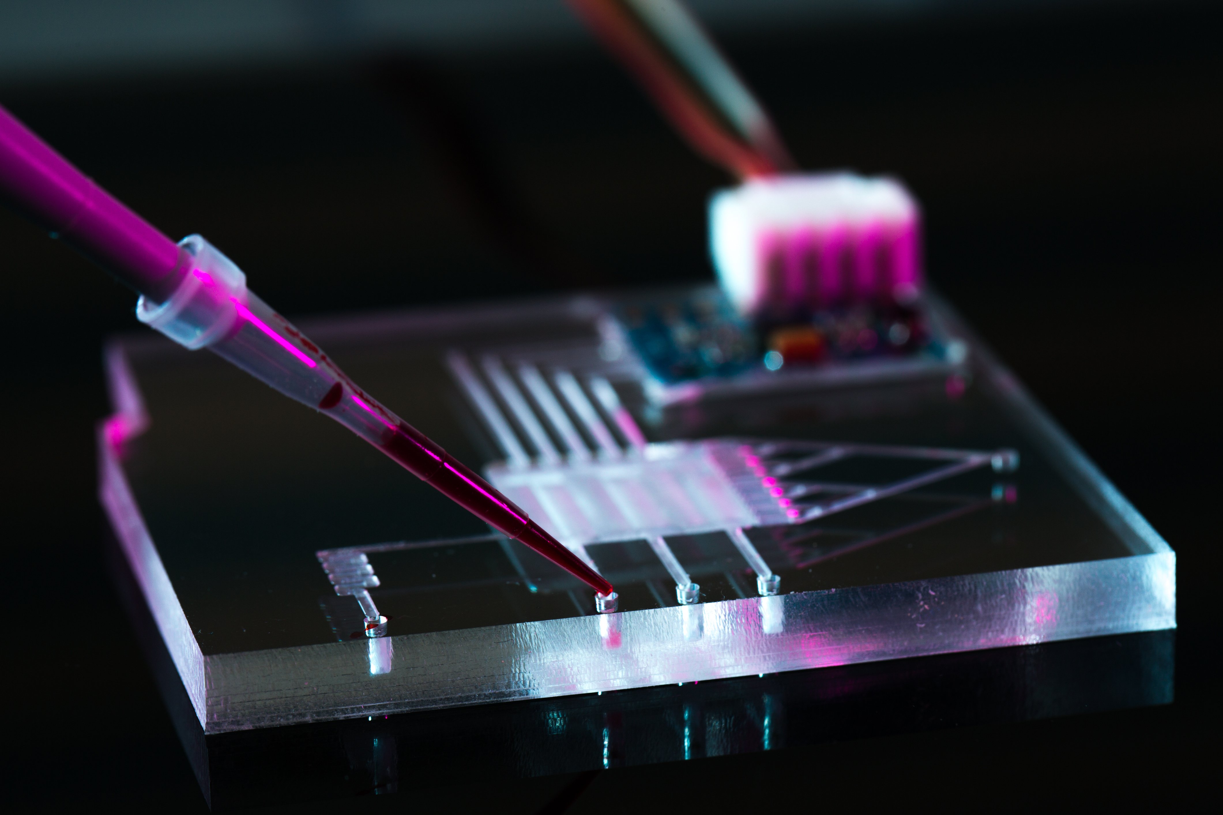 Organ-on-a-chip Application Header Image