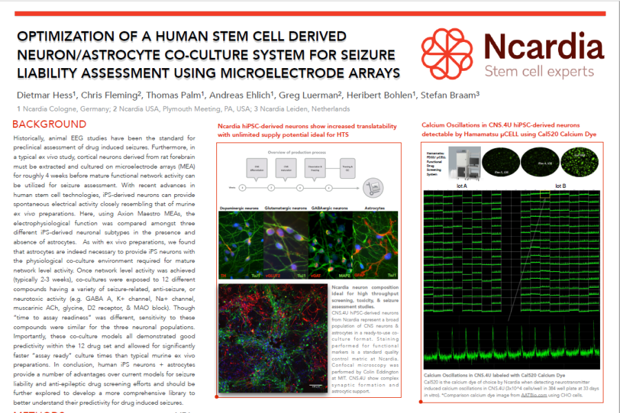 2017 SfN Hess Poster optimization of human stem cells for seizures