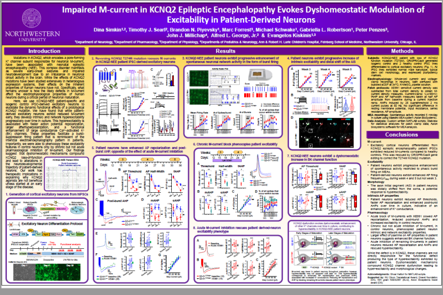 2018 SFN poster Simkin 