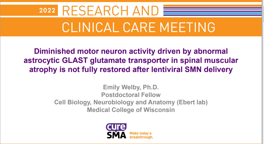 Diminished motor neuron activity driven by abnormal astrocytic GLAST glutamate transporter in spinal muscular atrophy is not fully restored after lentiviral SMN delivery