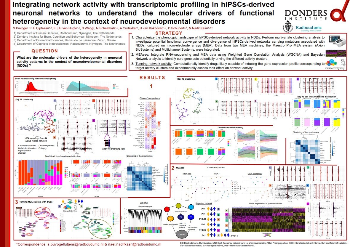 Sofia Puvogel at the Federation of European Neuroscience Societies (FENS) Forum 2024